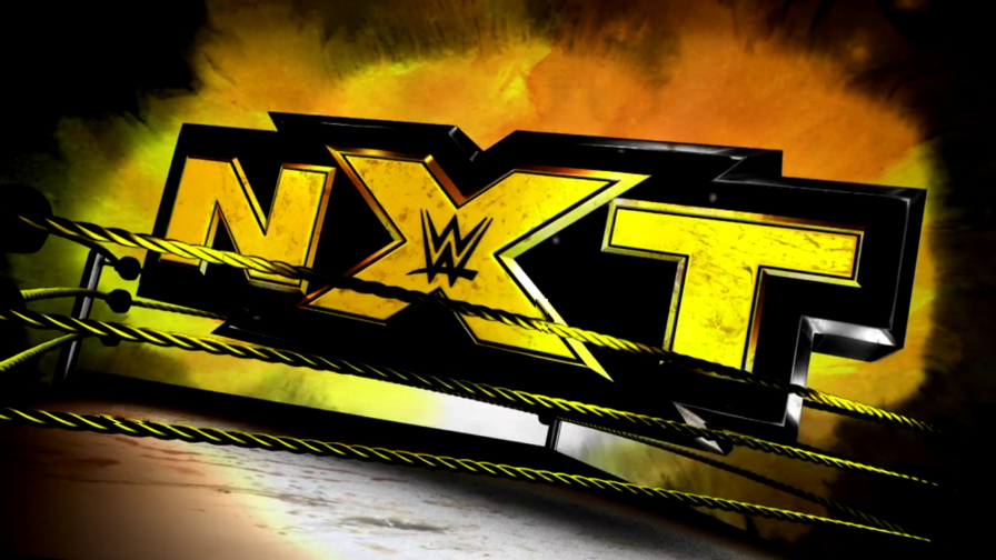 WWE NXT 2015 11 11 WEBRip h264-WD 7216ea223e613b9bc864bbd66b2827e5