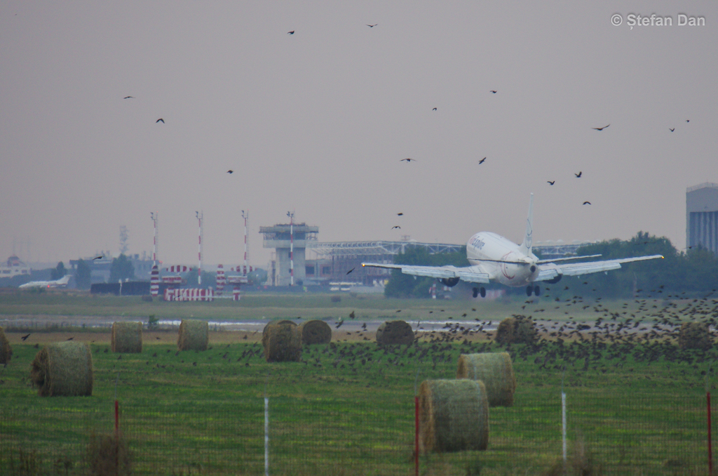 Aeroportul Bacau - Septembrie 2016 DAN_5003