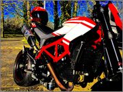 Hypermotard 821 SP Racing 2015 . Photo R.T page 3  - Page 2 Image