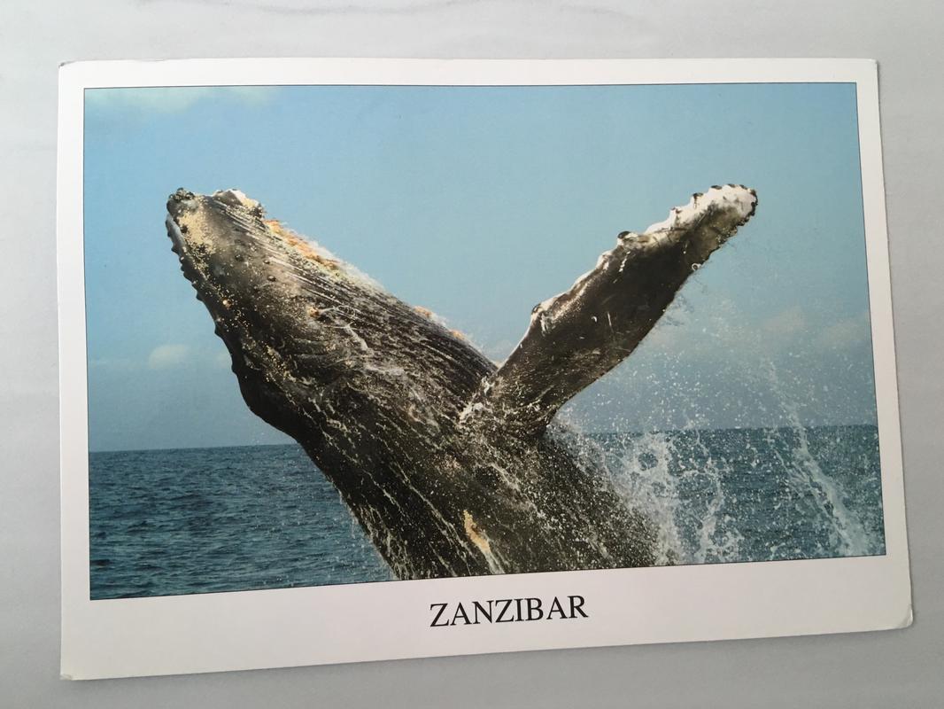 Postales desde Zanzibar (Xmas Edition) IMG_5988