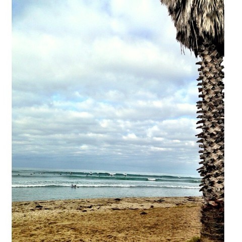 Life is a Beach Surf