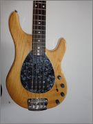 Christian Musicman4