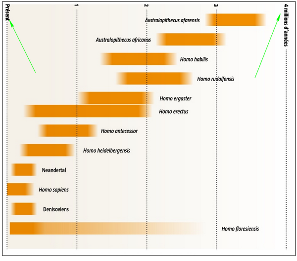 Evolutionistes reconnaissent les lacunes d évolution Image