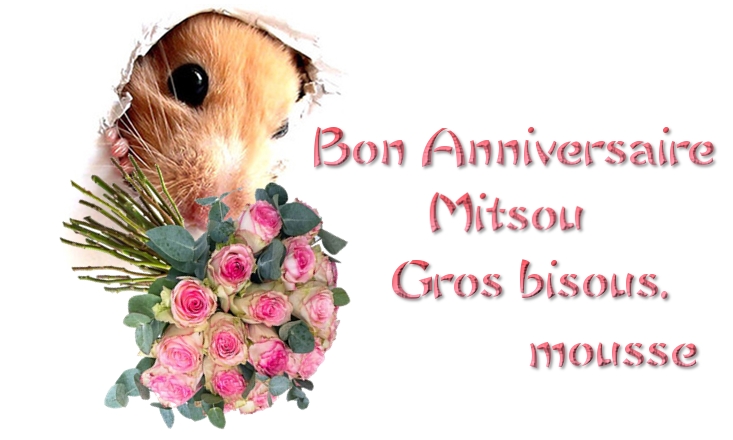 Un joyeux anniversaire (archive 1) - Page 15 Anniv_mitsou