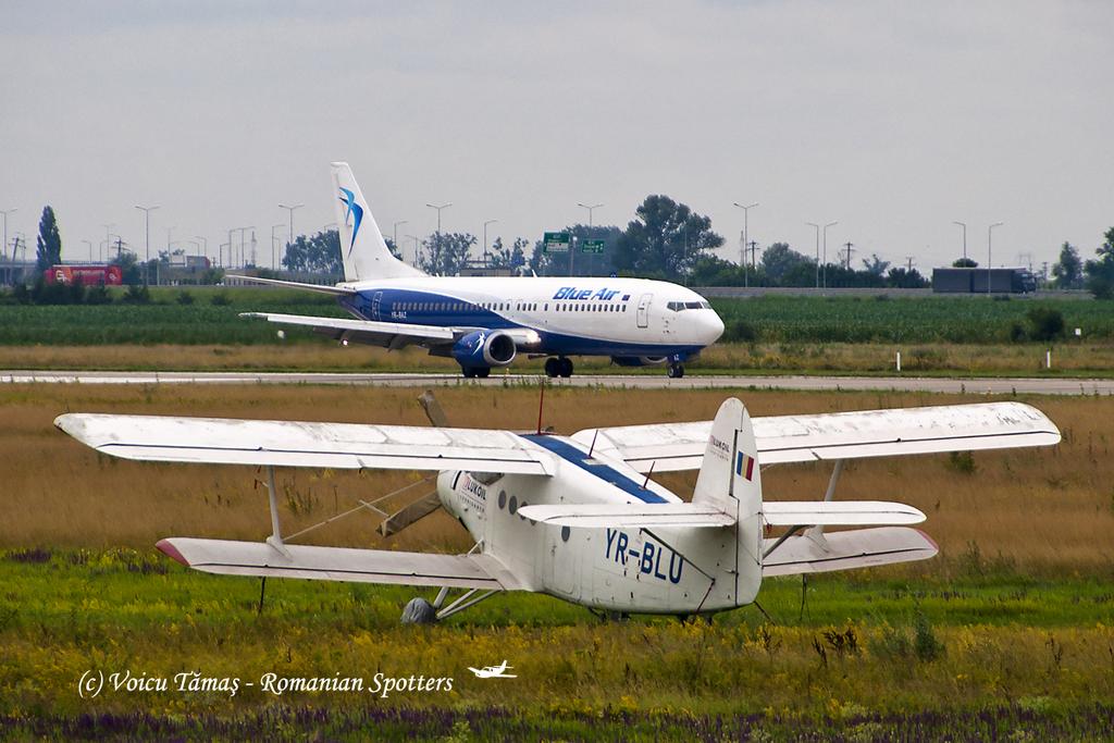 Aeroportul Arad - Iunie 2018   DSC_5184sa1200viv2