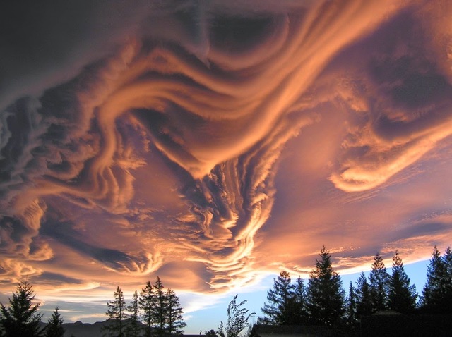 Cheiro de Início, os grandes feitos da pequena Charlotte Nuvens_asperatus