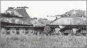 TIGER - "Swedish" King Tiger Tiger_sherman_normandy