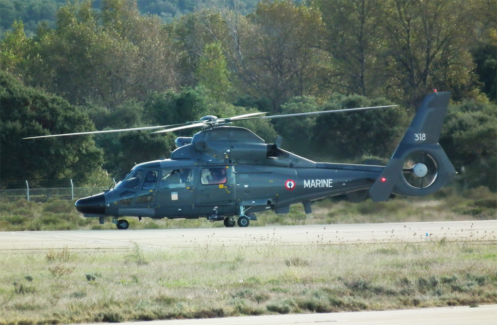 LFKJ Ajaccio Pedro2