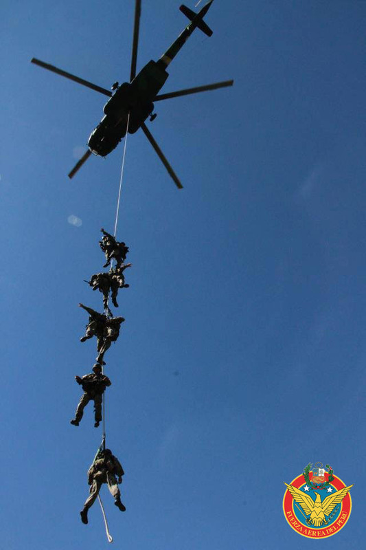 Fuerzas Armadas de Perú 954643_4619158777469_515203610_n_copia