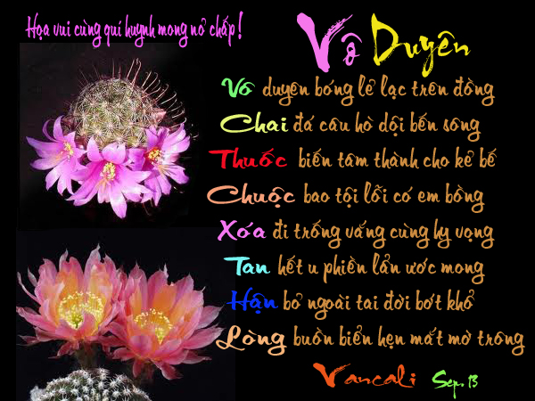 Thân chào quý huynh tỷ . lâu không gặp hì hì .... - Page 18 Vo_duyen_copy