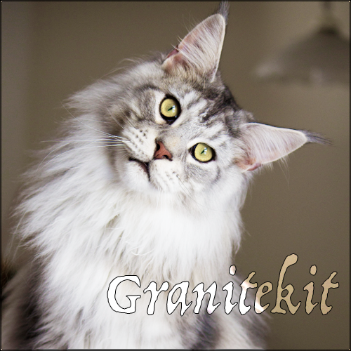 Granitekit (Butterstar x Secretvoice) Graniteprofielplaatje