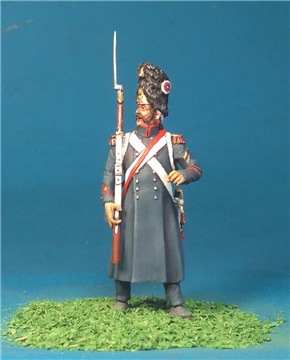 VID soldiers - Napoleonic french army sets - Page 5 404d8378c22at