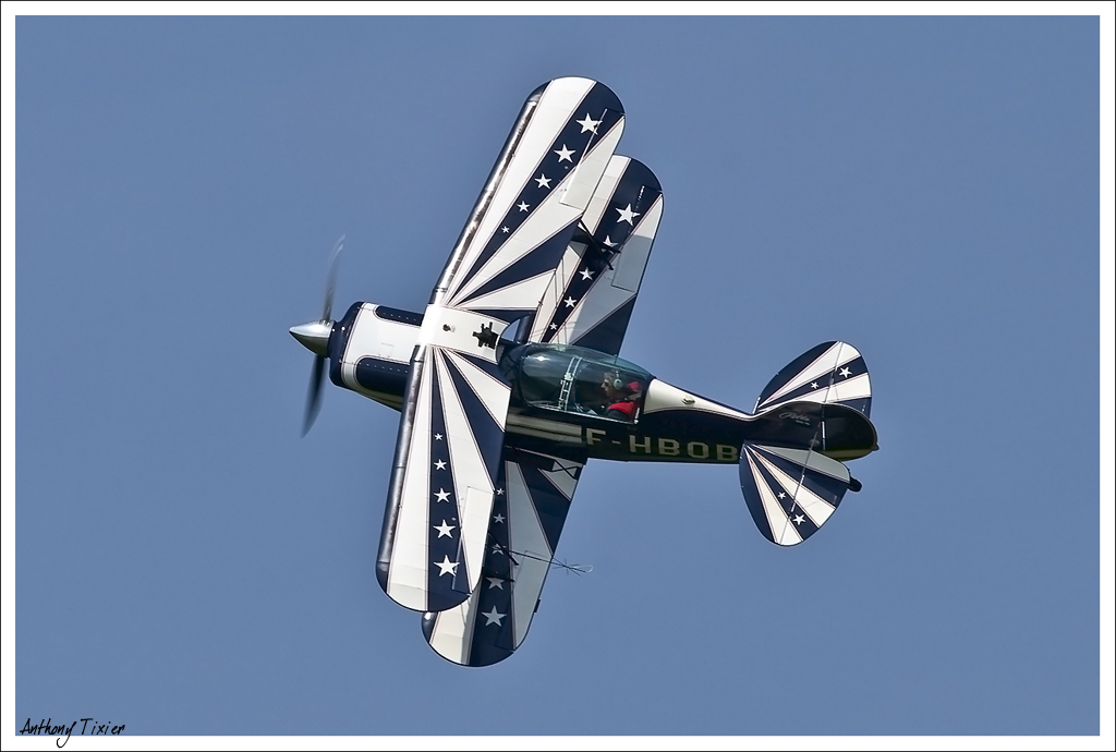 La Ferté Alais 2010 - Page 3 Pitts-7232