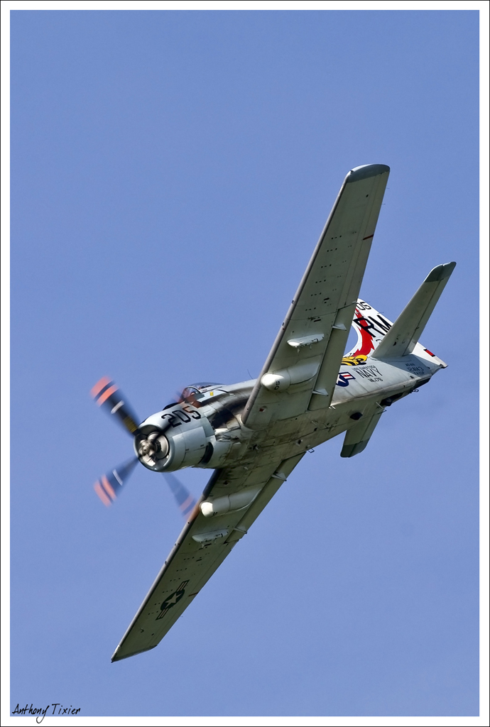 La Ferté Alais 2010 - Page 3 Skyraider-7651-2