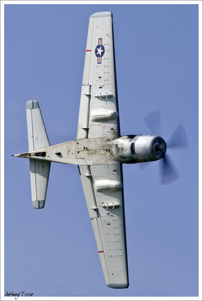 La Ferté Alais 2010 - Page 3 Skyraider-7666