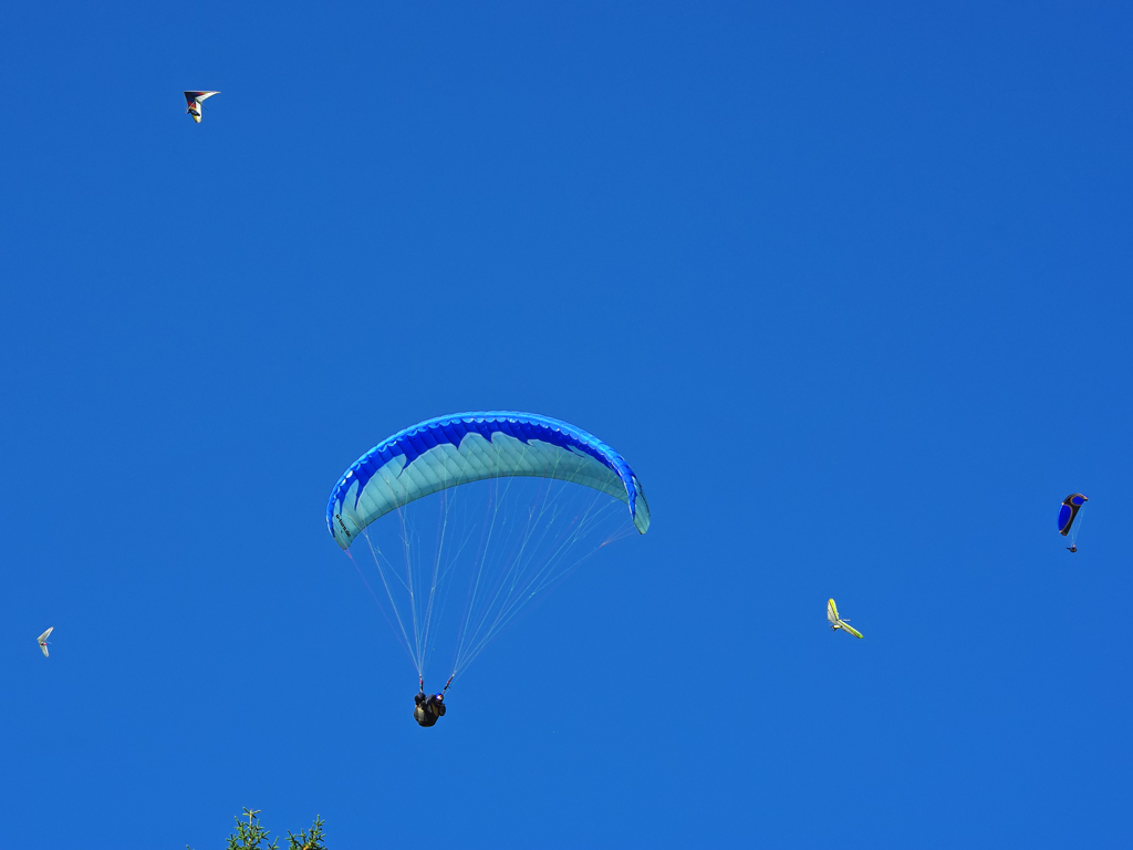 Deltazaurii 2015 - Șumuleu - Miercurea Ciuc IMGP5503