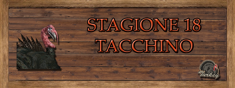Tacchino - ST. 18 TACCHINO
