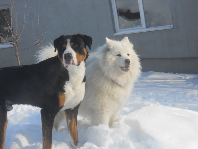 Moj svet živali Nala_februar_110