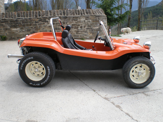 Meyers Manx Image