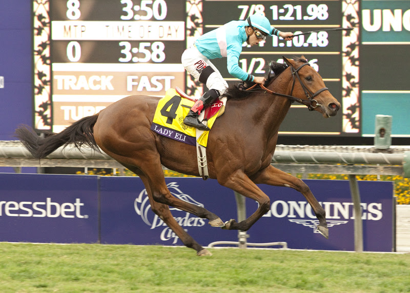 Oficial: Lady Eli Es Retirada De Las Pistas, Será Servida Este Año Por War Front Lady_Eli-_ESP