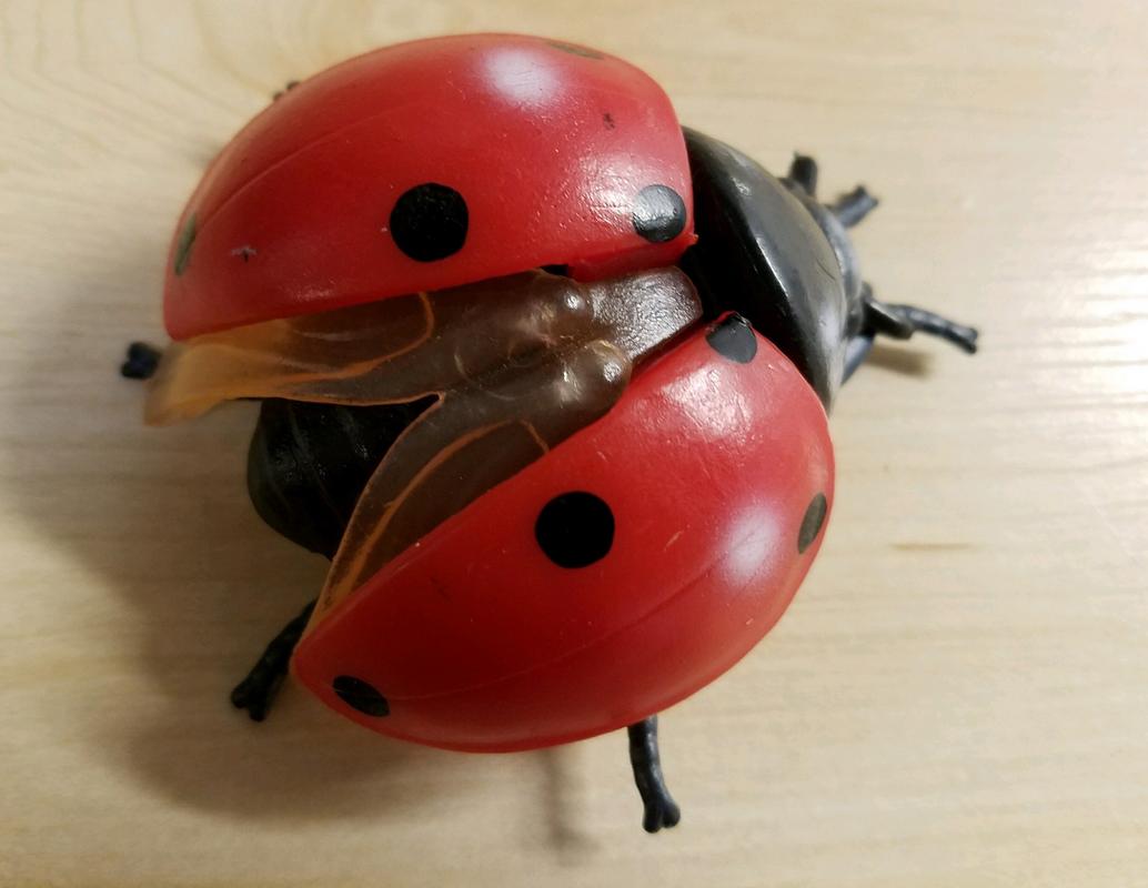 Lady Bug(s) (Bullyland) 20180215_195432