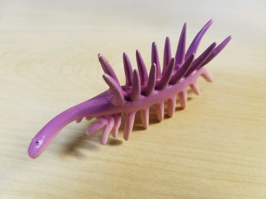 Review: Cambrian Creatures Mini Models (Kinto Favorite - Burgess Shale Series) 20160926_180829