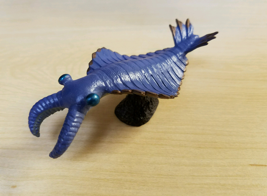 Review: Cambrian Creatures Mini Models (Kinto Favorite - Burgess Shale Series) 20160926_180819