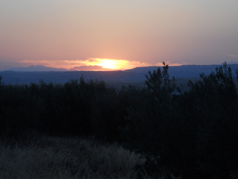 Los atardeceres en Benamaurel..... 002_4