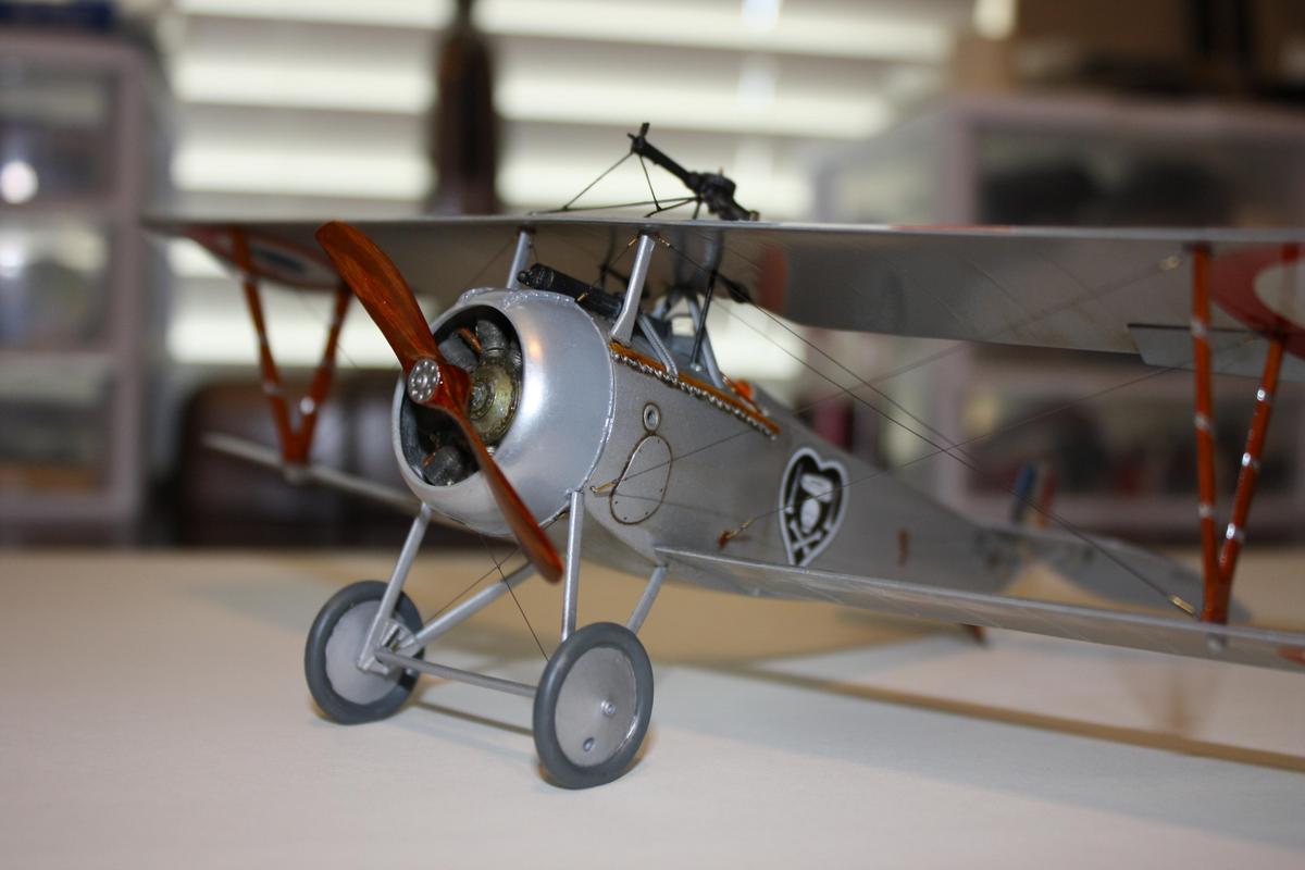 Nieuport 17 IMG_1872