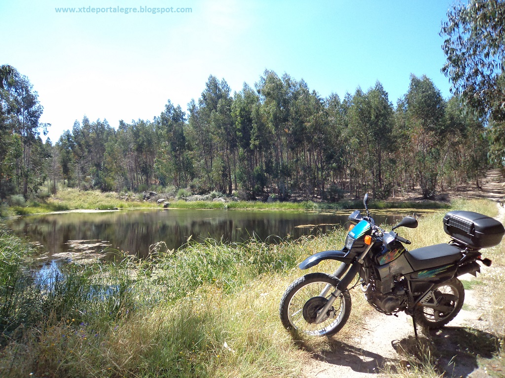 A XT600E Black de Portalegre - VENDIDA. Agora por Óbidos nas mãos do Cjcorreia - Página 38 DSC05368