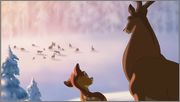 Bambi 2 [2006][Bluray 1080p][BD50][Audio Latino - Inglés][Animación] Fotos_04659_Bambi_2_2006_Blu_ray_1080p_AVC_DTS_H