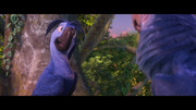 Rio 2 [2014][BRRip 1080p][Audio Latino - Inglés][Animación] Fotos_03301_Rio_2_2014