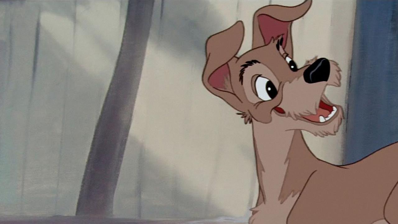 Lady and the Tramp [1955] Director's Cut  FullHD 1080p  [Ing-Lat] Image