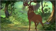 Bambi 2 [2006][Bluray 1080p][BD50][Audio Latino - Inglés][Animación] Fotos_04663_Bambi_2_2006_Blu_ray_1080p_AVC_DTS_H