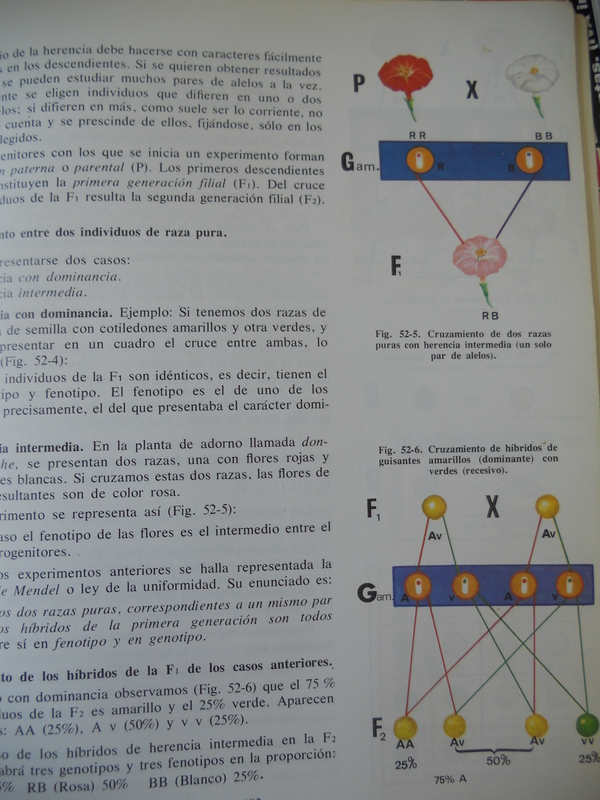 nuestra vida escolar en los años 70 043