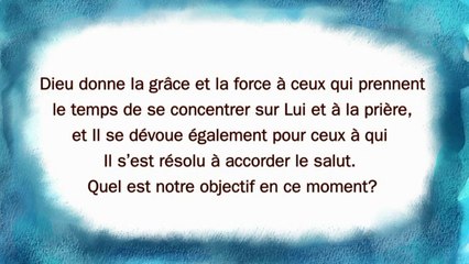 Dimanche 16 juillet 2017/Quinzième dimanche du temps ordinaire - Page 9 X240-RAt