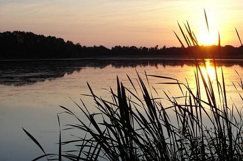 La pêche au moyen age Etang-dans-les-Dombes