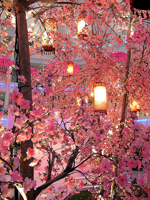 صور ورود 2017, صور زهور منوعة , اجمل صور ورد ملونة 2018 Asia-flowers-lanterns-pink-Favim.com-281284