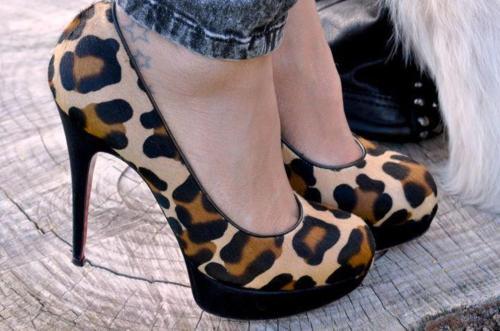 Shoes teens Adorable-amazing-animal-print-awesome-beautiful-Favim.com-300291