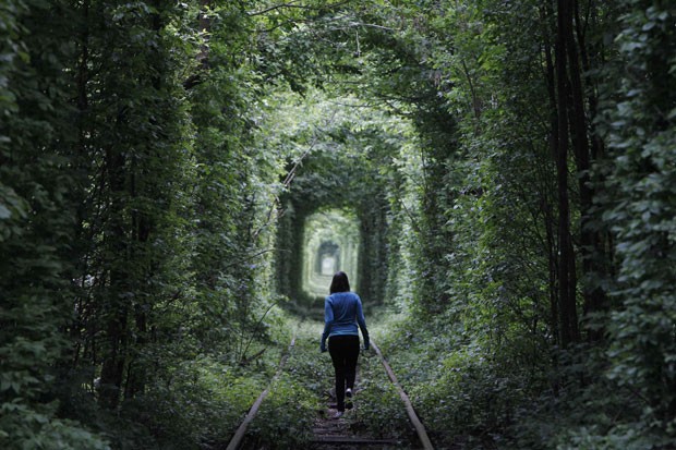 Trecho desativado de ferrovia vira 'túnel do amor' verde na Ucrânia 2_1