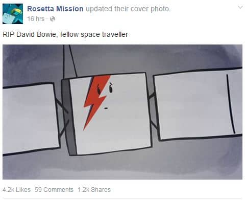 David Bowie - Page 2 Rosetta