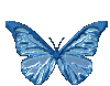 Kelebek Gifleri, Beautiful Butterflies... 2912b21bbf808d6e8be1912cd801c1e8