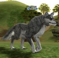 Quest Pet Wolf (Get a Pet - NIVEL 15) - Lineage II Thump_62435601