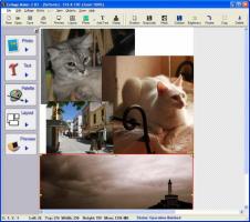 Collage Maker 2.03 [Full] + [Serial] Thump_6638172image