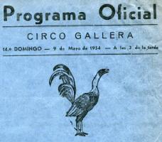 gallos - Los Gallos en islas Canarios todos parecen Pavos Thump_864305419542