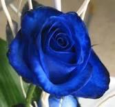 FLORES Y AMORES  PARA MI AMIGO INOLVIDABLE Thump_8752191rosa-azul-1