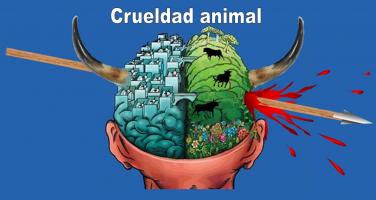 Asociación de imágenes  Thump_9597610crueldad-animal