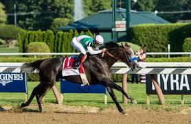 Arrogate, el caballo de los diez millones de dólares Thump_9745972arrogate-el-caballo