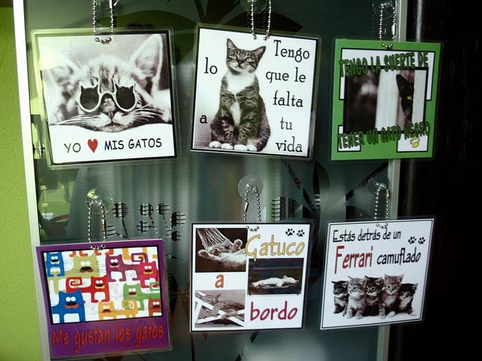 carteles para el coche y cuadernos de Esperanza Felina 4617660