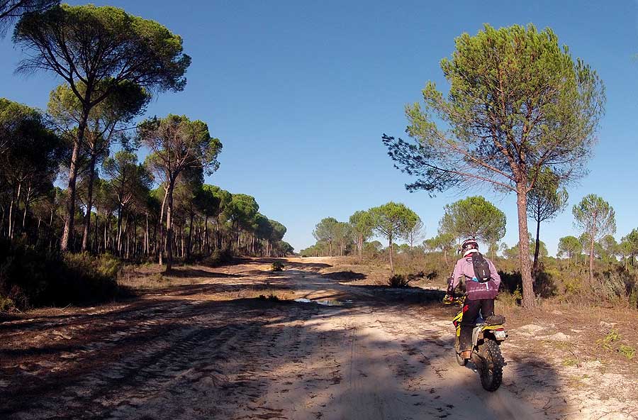 Entre Sevilla y Moguer, 200 km por caminos de arena Image